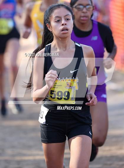 Thumbnail 3 in CIF State Cross Country Championships (Girls D4 Race) photogallery.