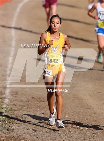 Thumbnail 1 in CIF State Cross Country Championships (Girls D4 Race) photogallery.