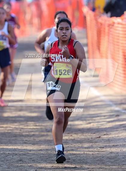Thumbnail 3 in CIF State Cross Country Championships (Girls D4 Race) photogallery.