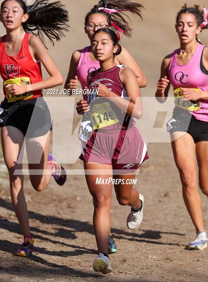 Thumbnail 1 in CIF State Cross Country Championships (Girls D4 Race) photogallery.