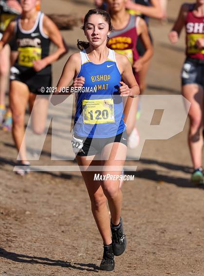 Thumbnail 3 in CIF State Cross Country Championships (Girls D4 Race) photogallery.