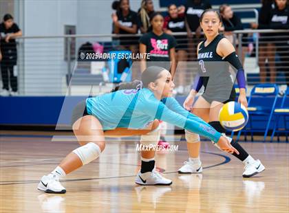Thumbnail 1 in Humble @ Channelview photogallery.