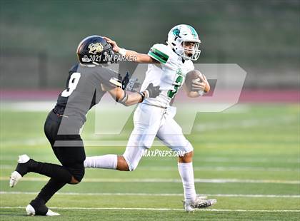 Thumbnail 3 in Burnet @ Rouse photogallery.