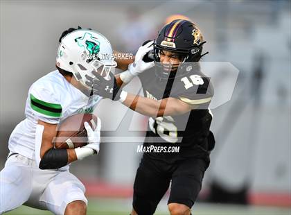 Thumbnail 1 in Burnet @ Rouse photogallery.
