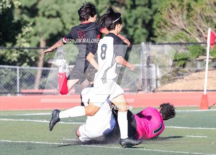 Thumbnail 2 in California @ Monte Vista photogallery.