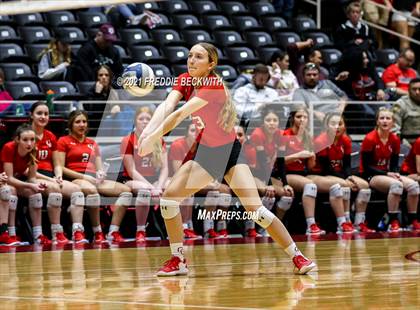 Thumbnail 3 in Canyon vs. Grapevine (UIL Volleyball 5A Semi-Finals)  photogallery.