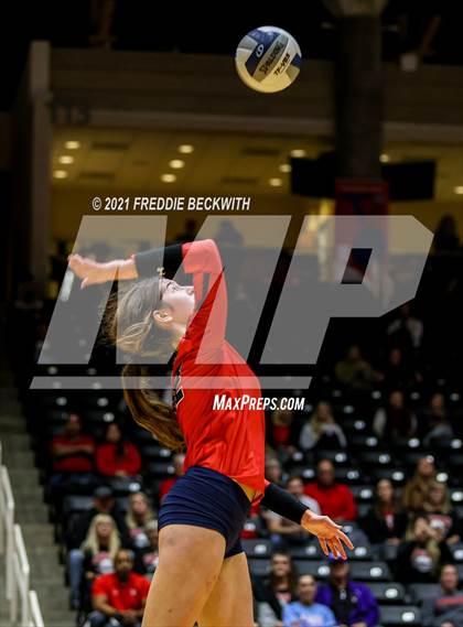 Thumbnail 2 in Canyon vs. Grapevine (UIL Volleyball 5A Semi-Finals)  photogallery.