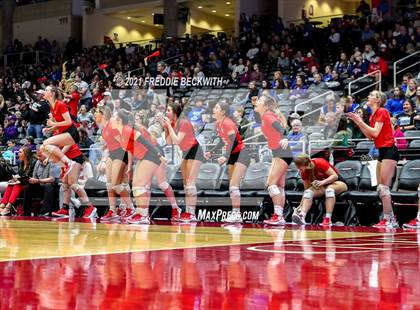 Thumbnail 3 in Canyon vs. Grapevine (UIL Volleyball 5A Semi-Finals)  photogallery.