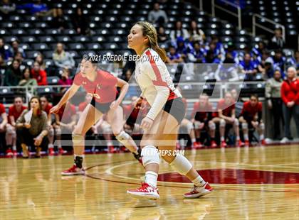 Thumbnail 3 in Canyon vs. Grapevine (UIL Volleyball 5A Semi-Finals)  photogallery.