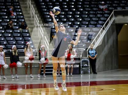 Thumbnail 3 in Canyon vs. Grapevine (UIL Volleyball 5A Semi-Finals)  photogallery.