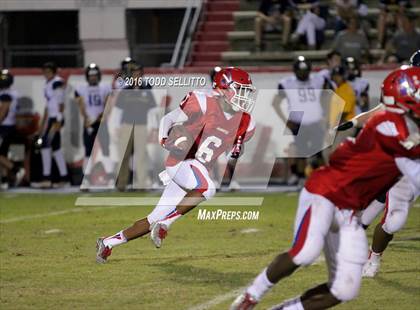 Thumbnail 2 in Steinbrenner @ Manatee photogallery.