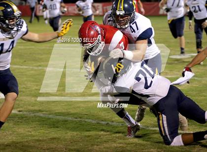 Thumbnail 3 in Steinbrenner @ Manatee photogallery.