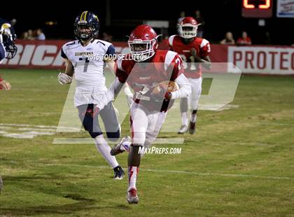 Thumbnail 1 in Steinbrenner @ Manatee photogallery.