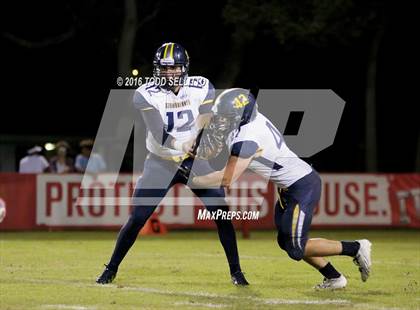 Thumbnail 3 in Steinbrenner @ Manatee photogallery.