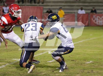 Thumbnail 3 in Steinbrenner @ Manatee photogallery.