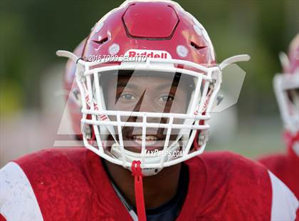 Thumbnail 3 in Steinbrenner @ Manatee photogallery.