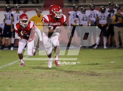 Thumbnail 1 in Steinbrenner @ Manatee photogallery.