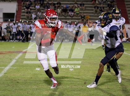 Thumbnail 1 in Steinbrenner @ Manatee photogallery.