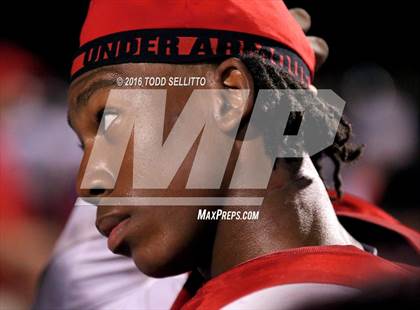 Thumbnail 2 in Steinbrenner @ Manatee photogallery.