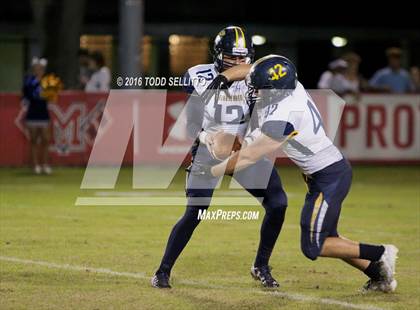 Thumbnail 2 in Steinbrenner @ Manatee photogallery.