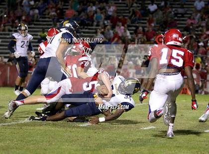 Thumbnail 1 in Steinbrenner @ Manatee photogallery.