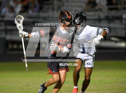 Thumbnail 1 in Seminole @ Olympia photogallery.