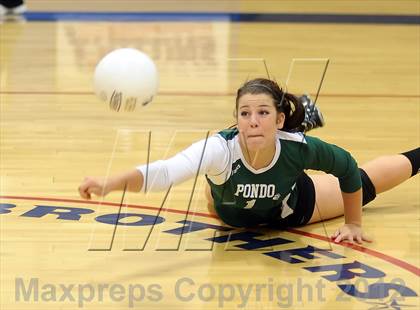 Thumbnail 3 in Ponderosa @ Christian Brothers photogallery.