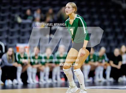 Thumbnail 2 in Gretna vs. Papillion-LaVista South photogallery.
