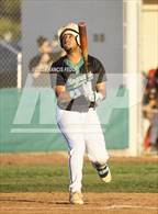 Photo from the gallery "Bloomingdale @ Sumner"