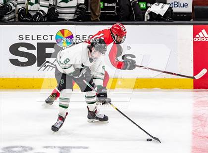 Thumbnail 2 in Winchester vs. Duxbury (MIAA Division 1 State Final) photogallery.