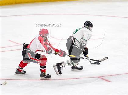 Thumbnail 1 in Winchester vs. Duxbury (MIAA Division 1 State Final) photogallery.