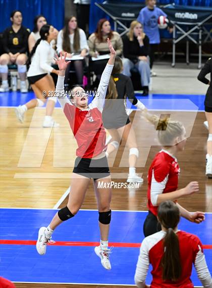 Thumbnail 2 in Montrose @ Lutheran (CHSAA 4A Round 1) photogallery.