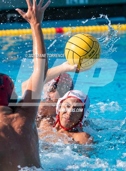 Thumbnail 1 in Santa Ana @ Tustin photogallery.