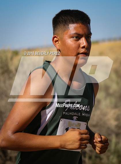 Thumbnail 1 in Golden League Meet #1  photogallery.