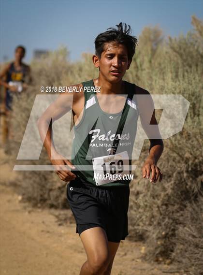 Thumbnail 2 in Golden League Meet #1  photogallery.