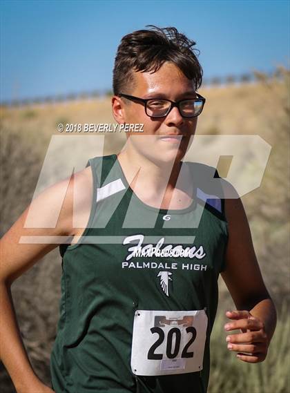 Thumbnail 2 in Golden League Meet #1  photogallery.