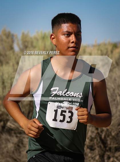 Thumbnail 2 in Golden League Meet #1  photogallery.