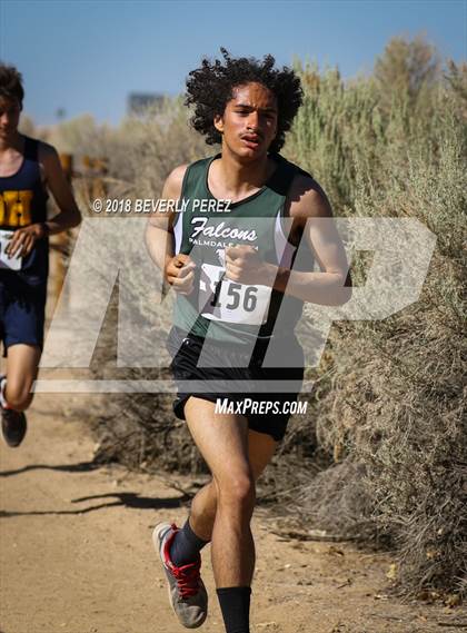 Thumbnail 1 in Golden League Meet #1  photogallery.