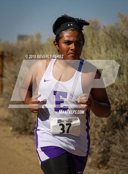 Thumbnail 2 in Golden League Meet #1  photogallery.