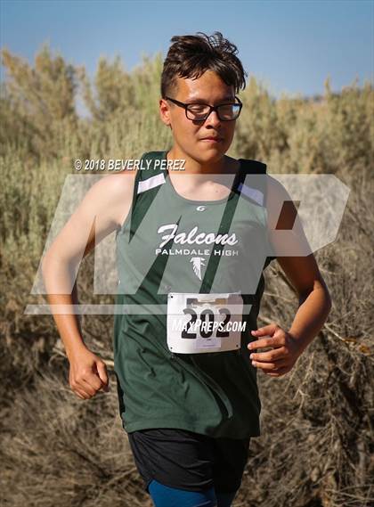Thumbnail 3 in Golden League Meet #1  photogallery.