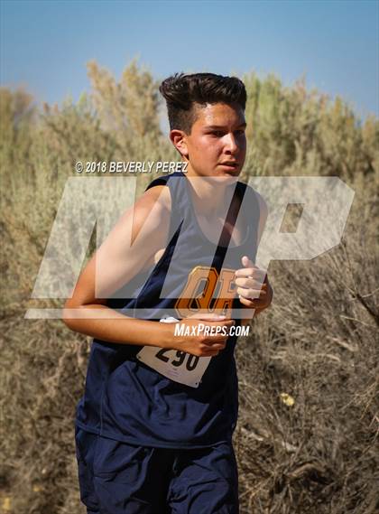 Thumbnail 1 in Golden League Meet #1  photogallery.