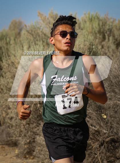 Thumbnail 2 in Golden League Meet #1  photogallery.