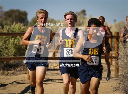 Thumbnail 3 in Golden League Meet #1  photogallery.