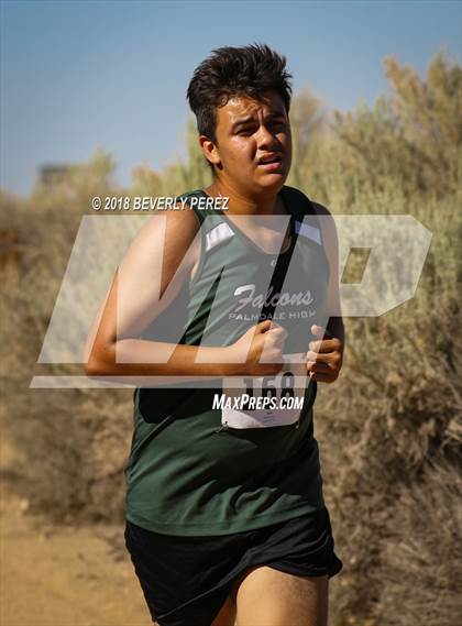 Thumbnail 1 in Golden League Meet #1  photogallery.