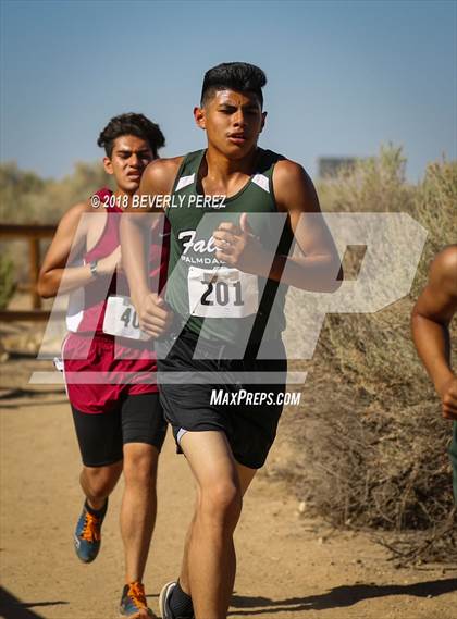 Thumbnail 1 in Golden League Meet #1  photogallery.