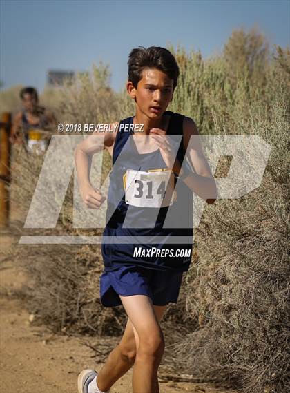 Thumbnail 1 in Golden League Meet #1  photogallery.