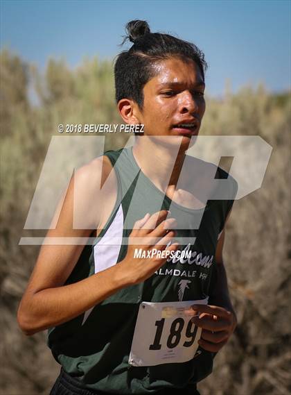 Thumbnail 1 in Golden League Meet #1  photogallery.