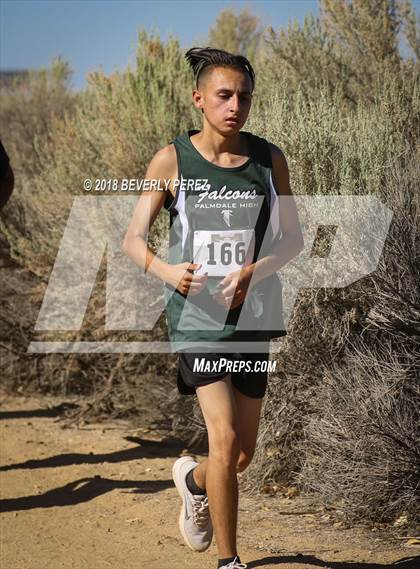 Thumbnail 2 in Golden League Meet #1  photogallery.