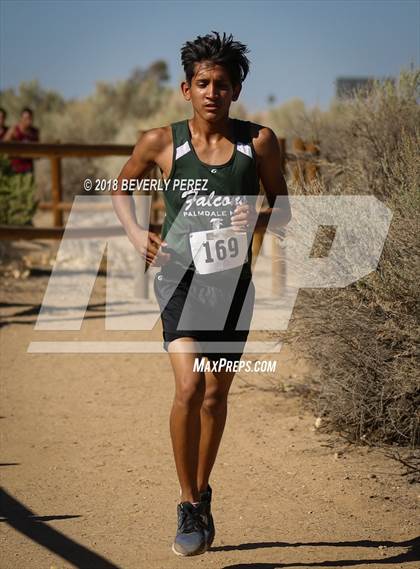 Thumbnail 3 in Golden League Meet #1  photogallery.