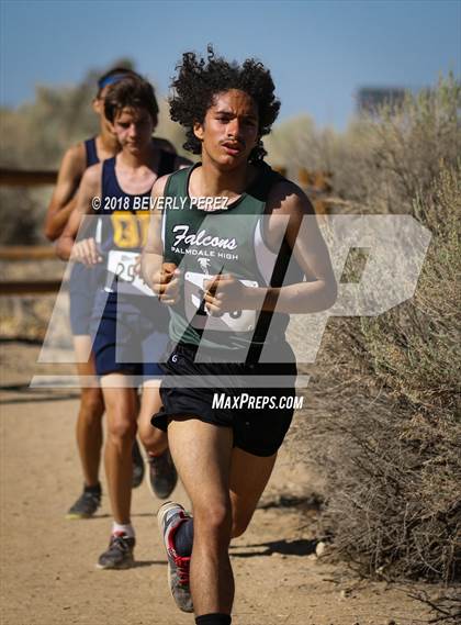 Thumbnail 2 in Golden League Meet #1  photogallery.